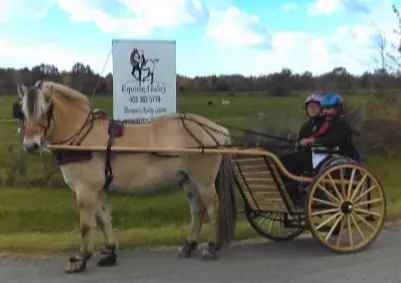 Equine Ability Niagara